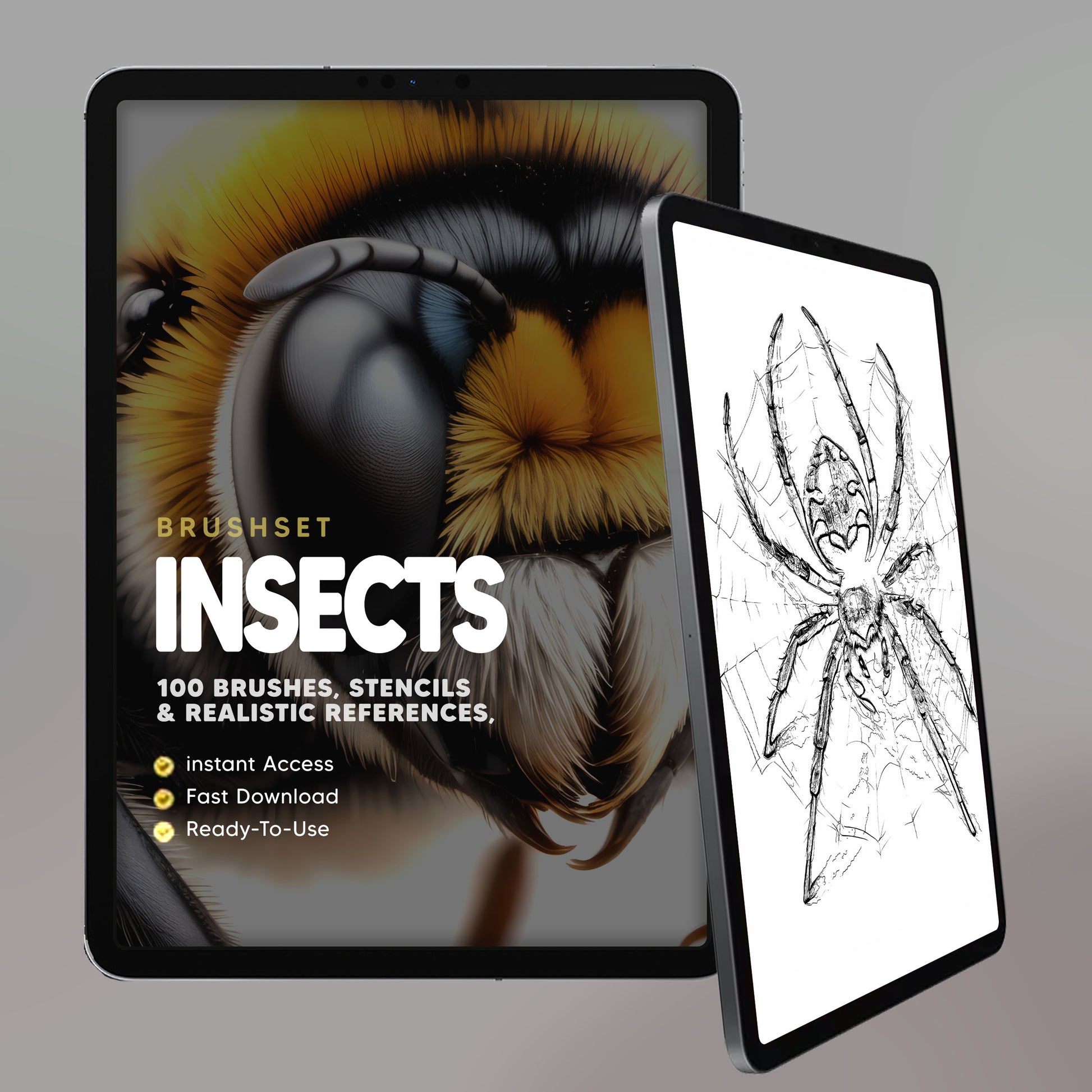 Insects