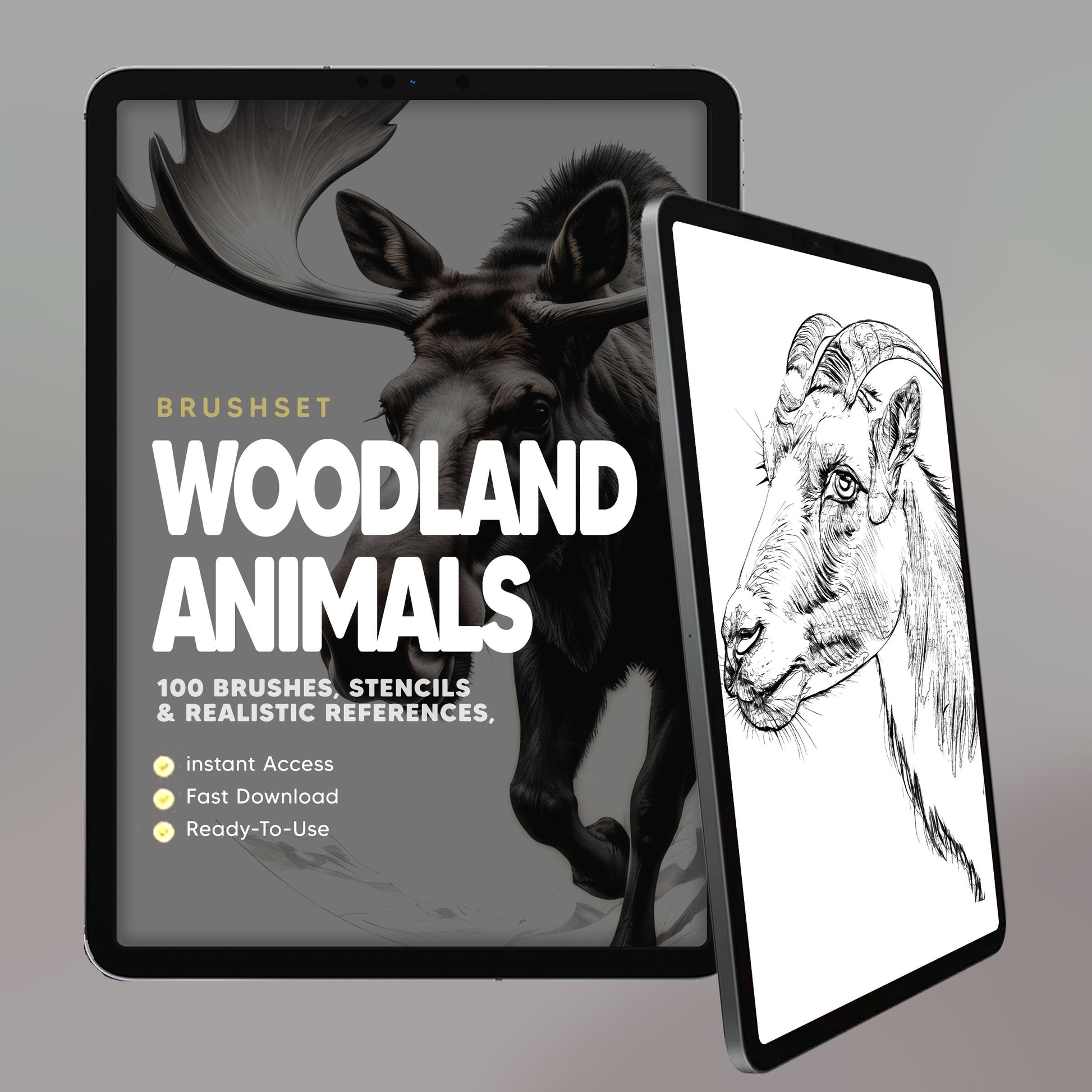 Woodland Animals